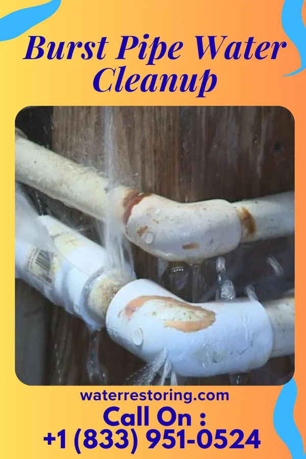 Burst Pipe Water Cleanup in Pantego, NC