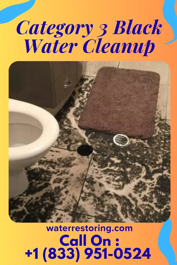 Category 3 Black Water Cleanup in Pantego, NC