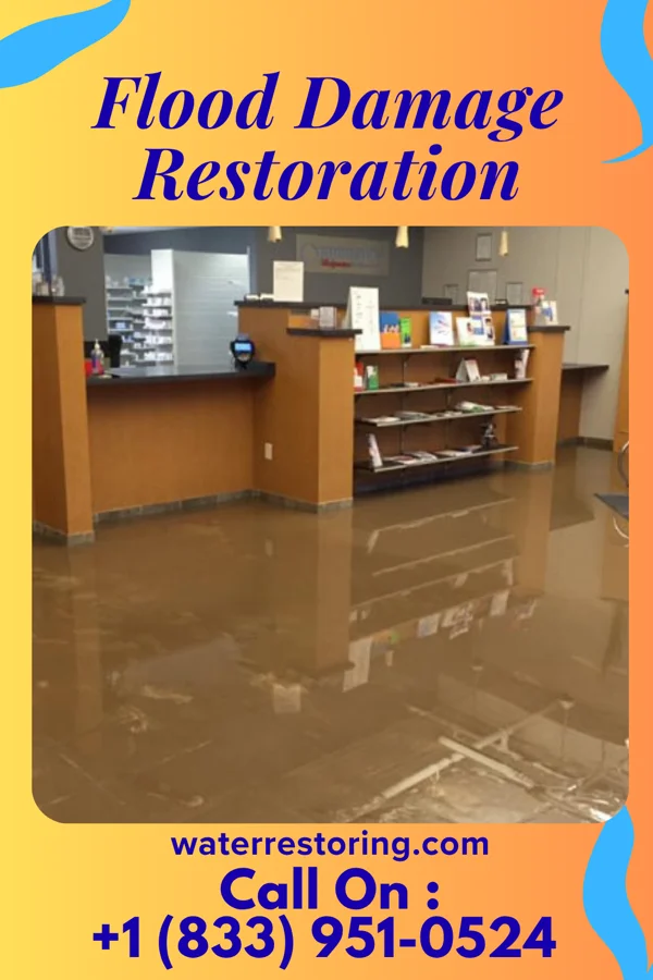 Flood Damage Restoration in Pantego, NC