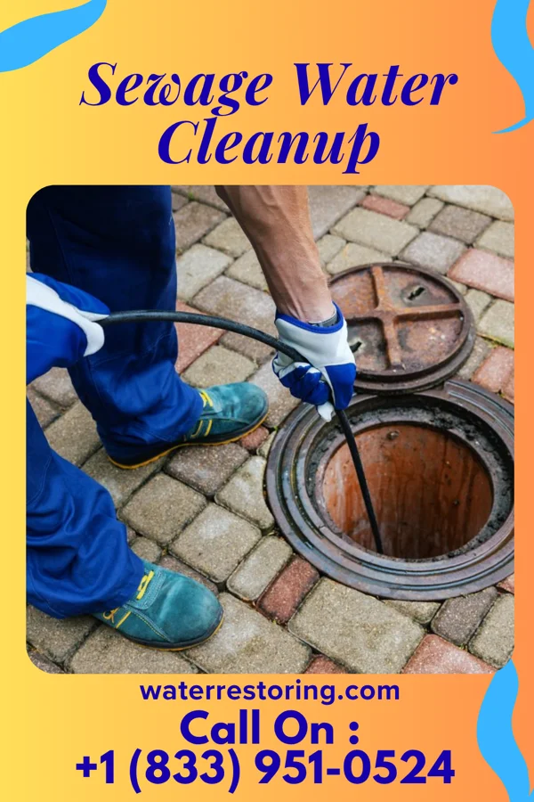 Sewage Water Cleanup in Pantego, NC