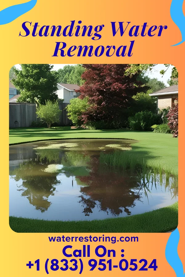 Standing Water Removal in Pantego, NC